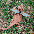 Bearded Dragon harness