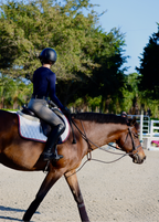 Jump Saddle Pad | White