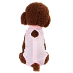 Pet clothes, cat weaning clothes, bite-proof surgical clothes, cat sterilization clothes