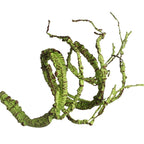 Bendable Artificial Mossy Jungle Vine Decor