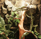 Bendable Artificial Mossy Jungle Vine Decor
