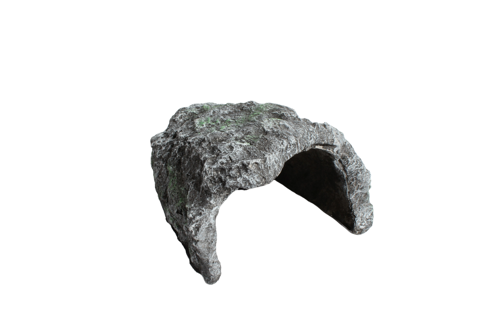 Naturalistic Rock Basking Cave & Hide