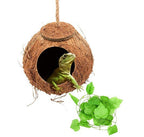 Hanging Natural Coconut Reptile Hide with Vine
