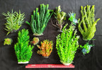 Premium Artificial Aquarium Plant Package for Fish Tank, LARGE GARDEN