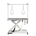 Super Deluxe Electric Pet Grooming Table, Height Adjustable