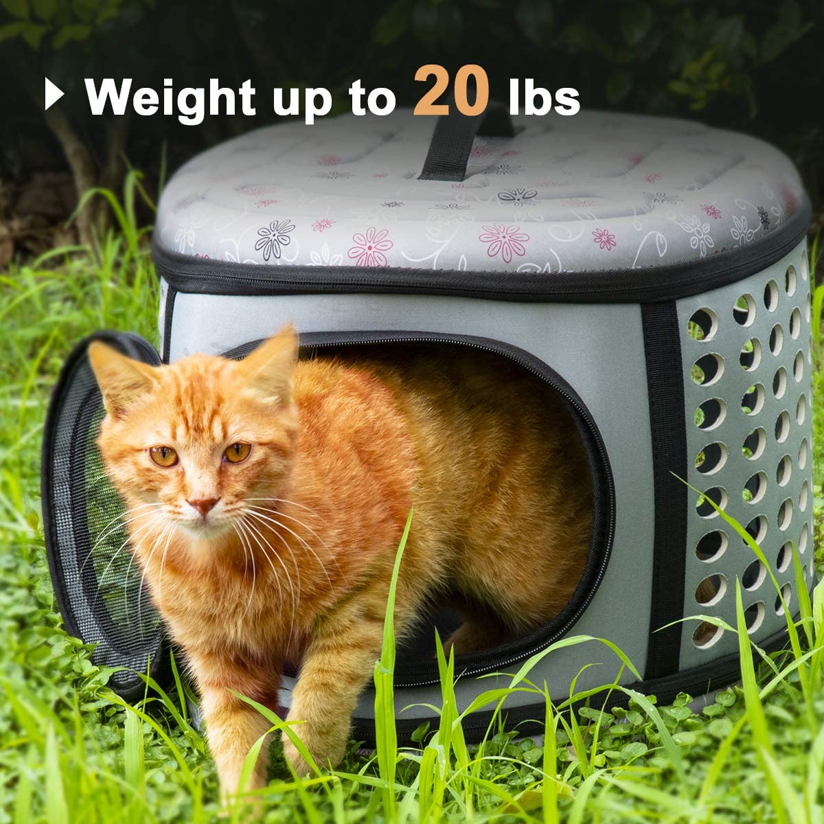 Foldable Pet Dog Cat Puppy Handbag Carrier Cage