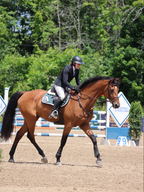 Jump Saddle Pad | Green- Black & White