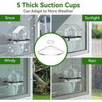 Acrylic Bird Cage Hummingbird Feeder Pet Supplies Transparent Wall-mounted Birds Feeder