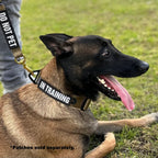 K9R - BCH Heavy Duty Big Dog Collar | Kiloniner