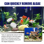 Algae Removal, Aquarium Cleaning Agent Algae Removal Moss Fish Tank Moss Removal Agent Algae Removal From Green Water