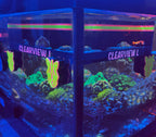 ClearView L – Rhino’s Reef Premium 3D-Printed Reef Accessory