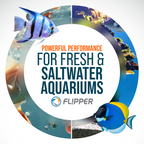 Flipper Pico Black 2-in-1 Aquarium Magnet Cleaner
