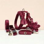 Red Wine Velvet Set