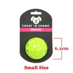 Caitec Dog Toys Squeaking Bouncing Ball Durable Floatable Springy Pet Toys Squeaky Ball Bite Resistant