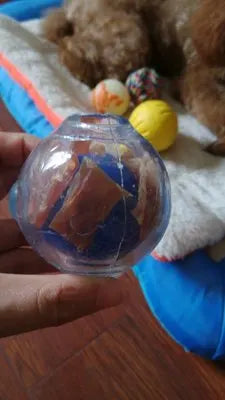 CAITEC Dog Toy Amazing Squeaker Ball Durable Floatable Springy Bite Resistant Best for Tossing Chasing Foraging Medium Large Dog