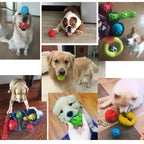 Caitec Dog Toys Squeaking Bouncing Ball Durable Floatable Springy Pet Toys Squeaky Ball Bite Resistant