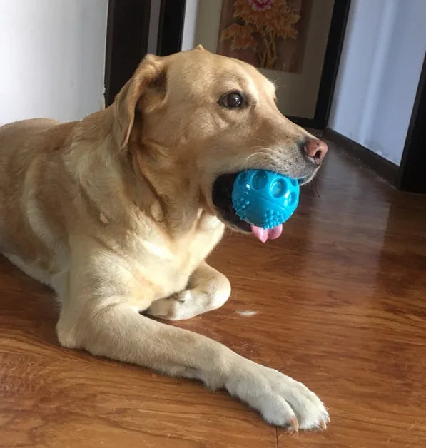 Caitec Dog Toys Squeaking Bouncing Ball Durable Floatable Springy Pet Toys Squeaky Ball Bite Resistant