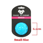 Caitec Dog Toys Squeaking Bouncing Ball Durable Floatable Springy Pet Toys Squeaky Ball Bite Resistant