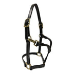 Huntley Equestrian Fancy Stitched Adjustable Premium Leather Pony Halter with Brass Hardware