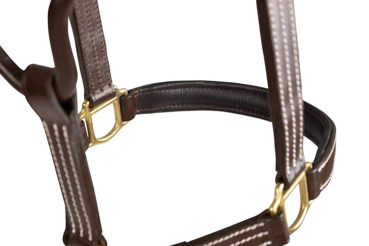 Huntley Equestrian Fancy Stitched Premium Leather Padded Halter