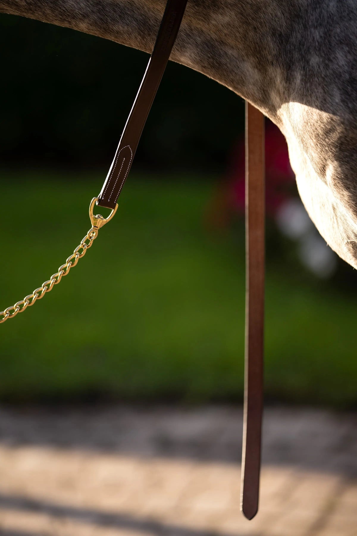 Huntley Equestrian Leather Lead with Brass Chain
