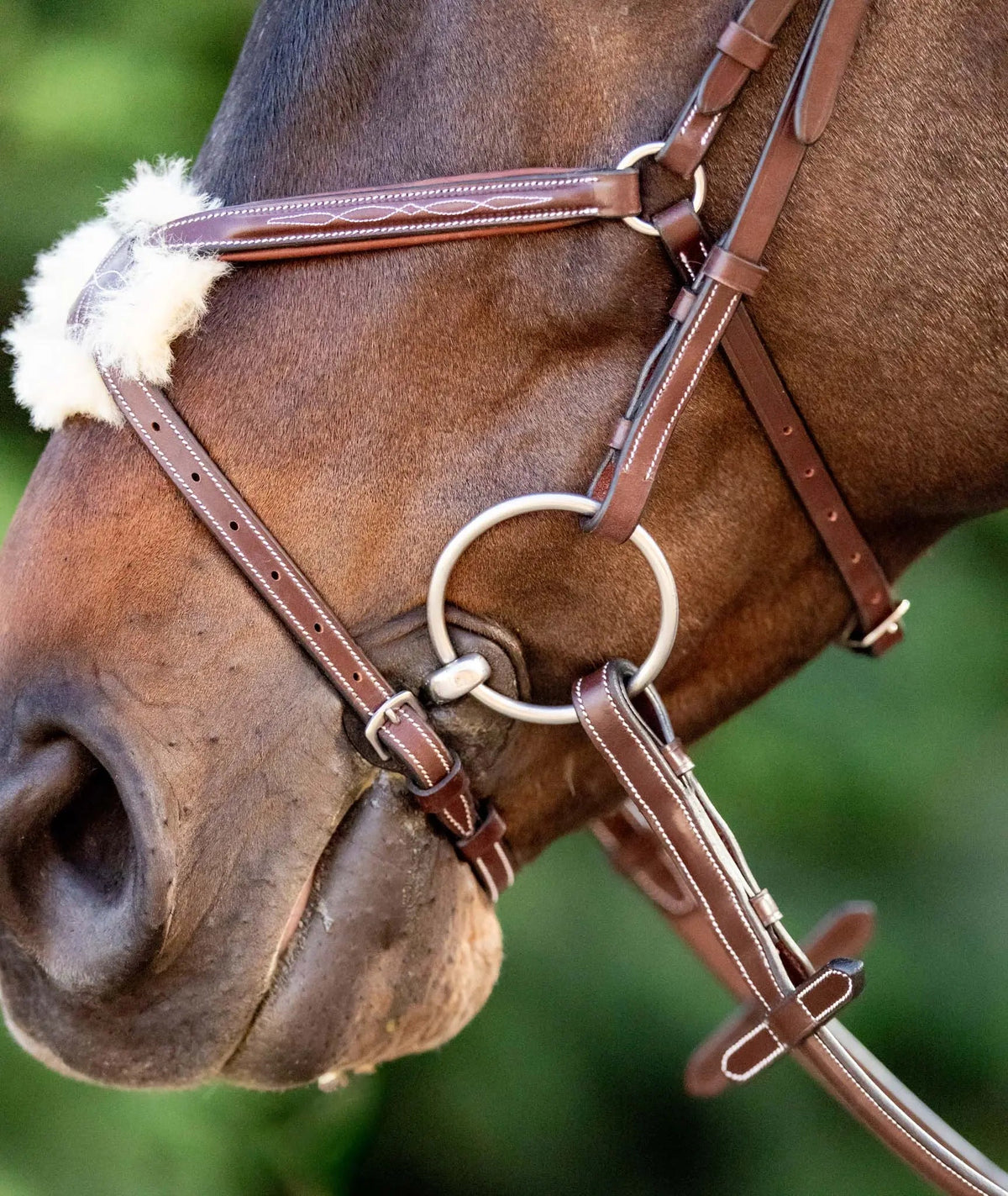 Huntley Equestrian Sedgwick Leather Padded Monocrown Figure 8 Bridle