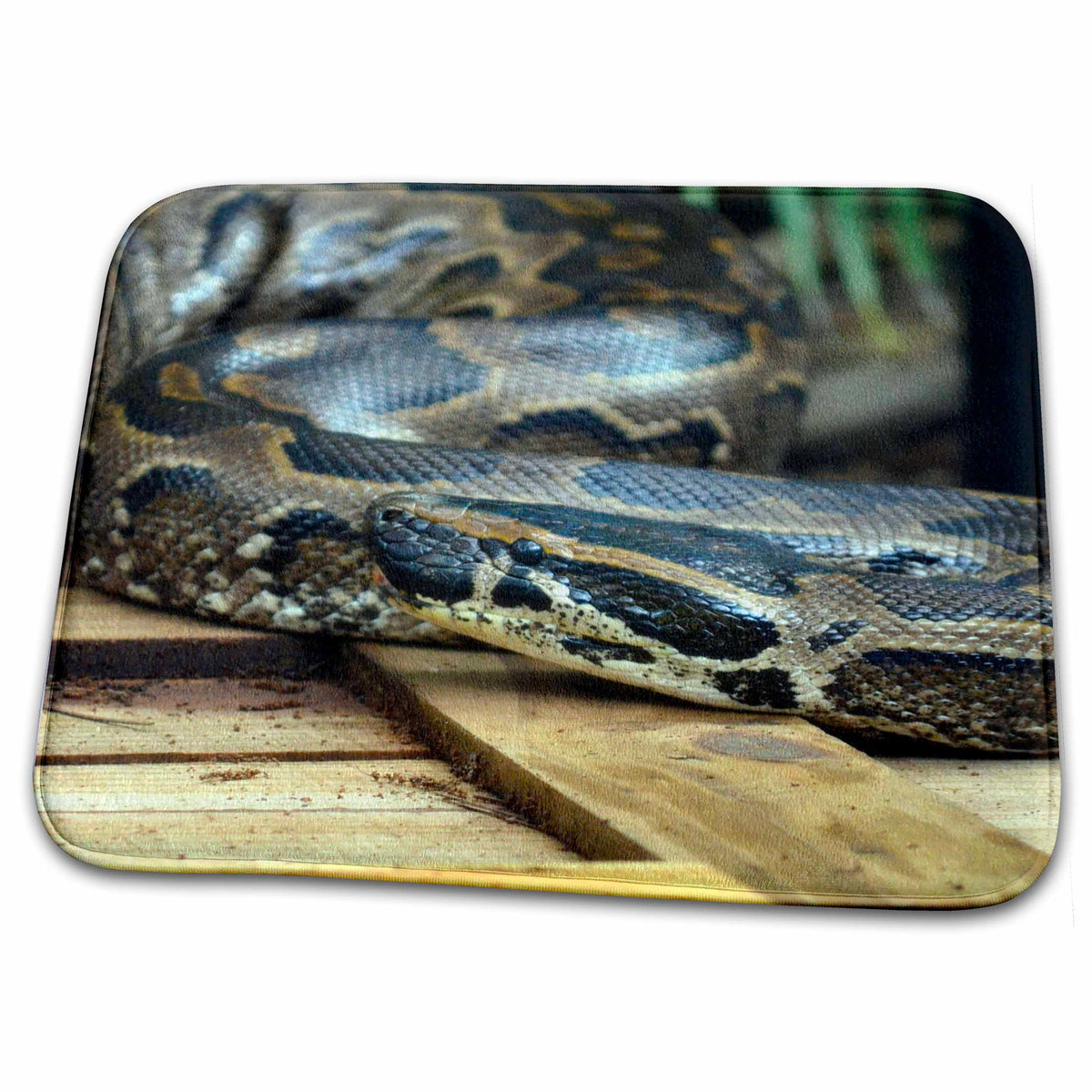 Dish Drying Mat - Python Snake Looking Left On Wooden Crate Animals