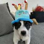 Adjustable Pet Birthday Hat With Colorful Candles Dog Birthday Party Costume Puppy Grooming Dress Up Hat Pet Supplies