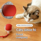 USB Rechargeable Interactive Cat Toys Balls Pets Smart Automatic Electric Rolling Ball for Kitty Tail Teasers with Catnip Gifts
