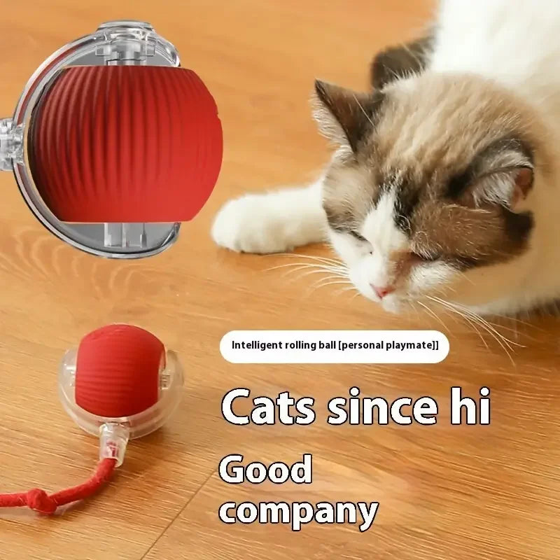 USB Rechargeable Interactive Cat Toys Balls Pets Smart Automatic Electric Rolling Ball for Kitty Tail Teasers with Catnip Gifts