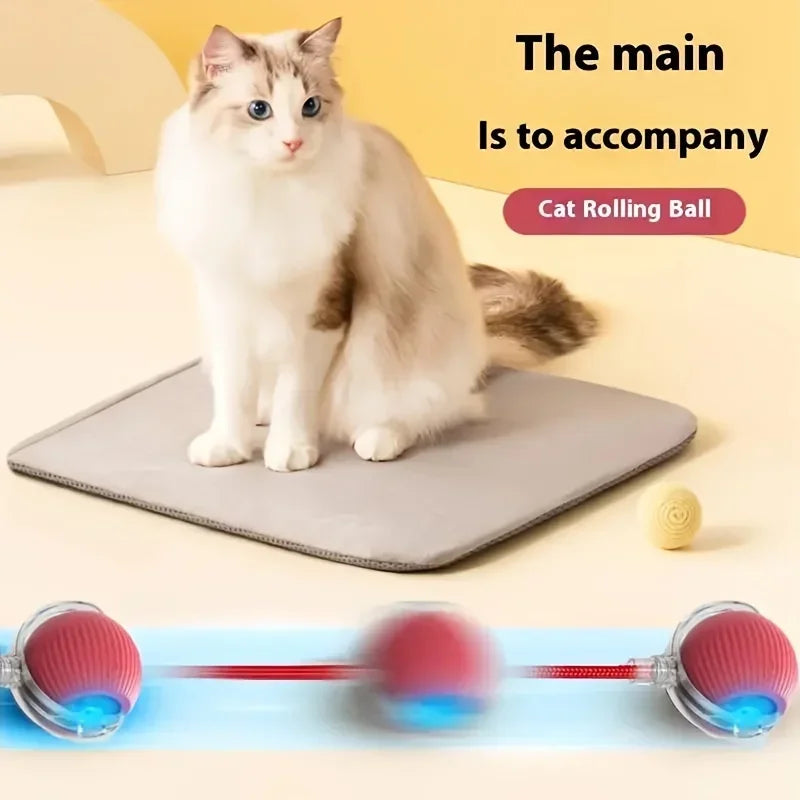 Automatic Rolling Ball Interactive Ball Cat Toys Pet Supplies Electric Dog and Cat Training To Imitate Rat Rechargeable Products