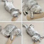 Cat Toy Game Pillow and Cat Scratching Pad for Solo Play and Intimate Interaction, Feline Entertainment