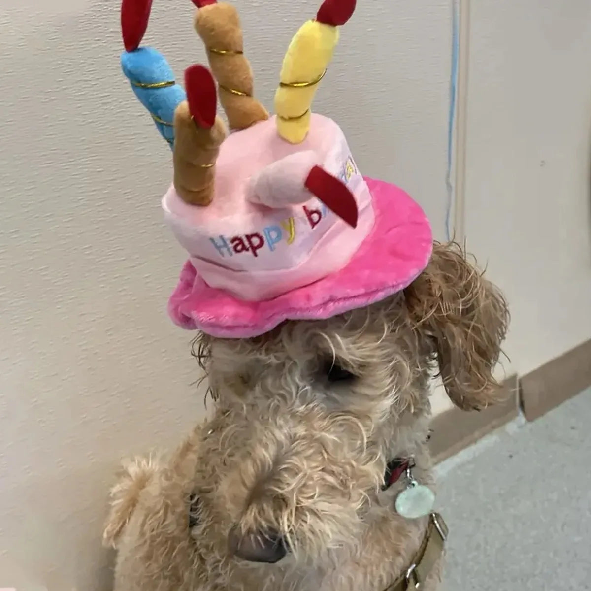 Adjustable Pet Birthday Hat With Colorful Candles Dog Birthday Party Costume Puppy Grooming Dress Up Hat Pet Supplies