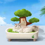 Cat Scratcher Mat Density Board 2 in 1 Bonsai House Scratch Pad Playground for Cats Indoor Training Furniture Protector