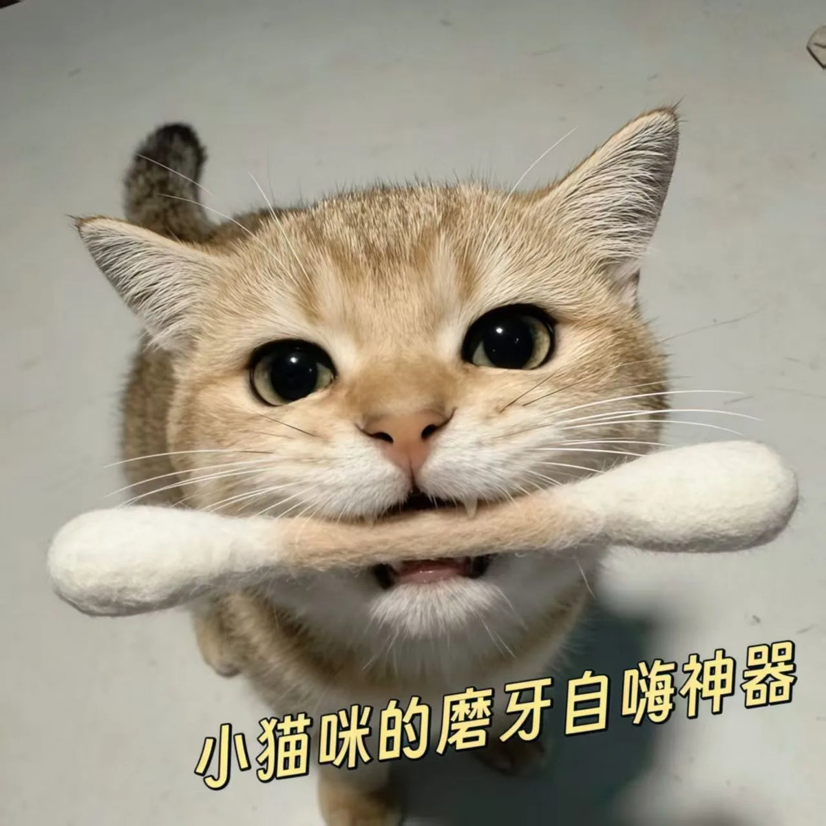 6Pcs Creative Large Cotton Swab Shaped Catnip Toy Giant Kitten Grinding Biting Stick Teething Cleaning Chew Toys Pet Supplies
