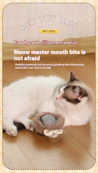 Automatic Rolling Ball Interactive Ball Cat Toys Pet Supplies Electric Dog and Cat Training To Imitate Rat Rechargeable Products