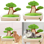Cat Scratcher Mat Density Board 2 in 1 Bonsai House Scratch Pad Playground for Cats Indoor Training Furniture Protector