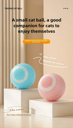 Automatic Rolling Ball Interactive Ball Cat Toys Pet Supplies Electric Dog and Cat Training To Imitate Rat Rechargeable Products