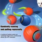 USB Rechargeable Interactive Cat Toys Balls Pets Smart Automatic Electric Rolling Ball for Kitty Tail Teasers with Catnip Gifts