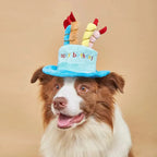 Adjustable Pet Birthday Hat With Colorful Candles Dog Birthday Party Costume Puppy Grooming Dress Up Hat Pet Supplies