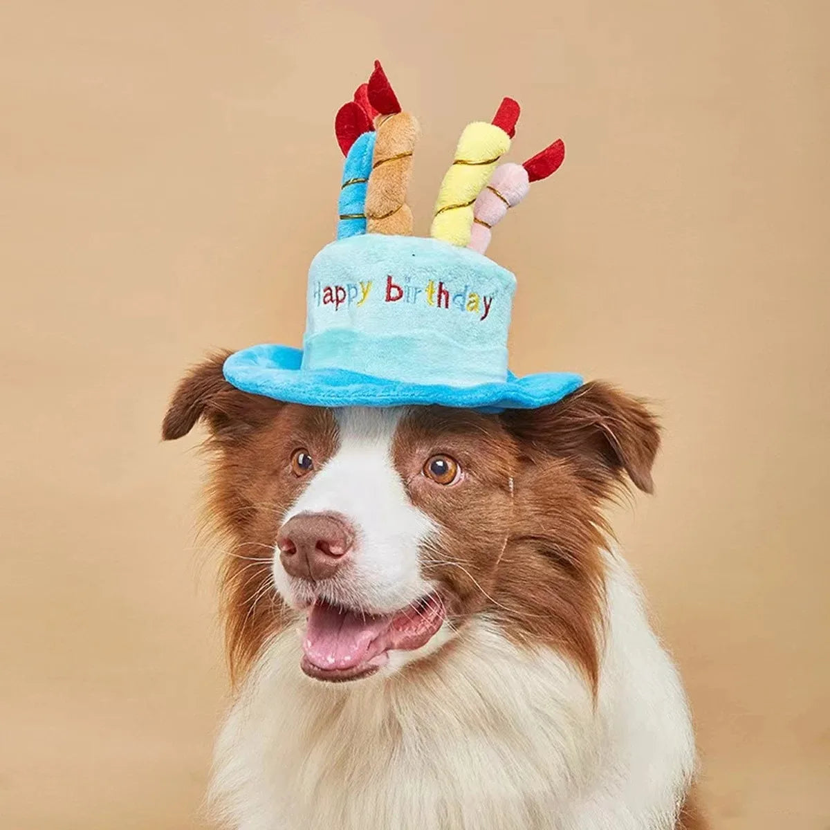 Adjustable Pet Birthday Hat With Colorful Candles Dog Birthday Party Costume Puppy Grooming Dress Up Hat Pet Supplies