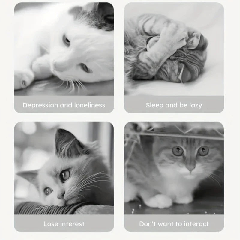 1pc Interactive Cat & Dog Toy - Durable Bite-Resistant Design, Hiding Food & Grinding Teeth Entertainment for Small Pets