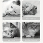 1pc Interactive Cat & Dog Toy - Durable Bite-Resistant Design, Hiding Food & Grinding Teeth Entertainment for Small Pets