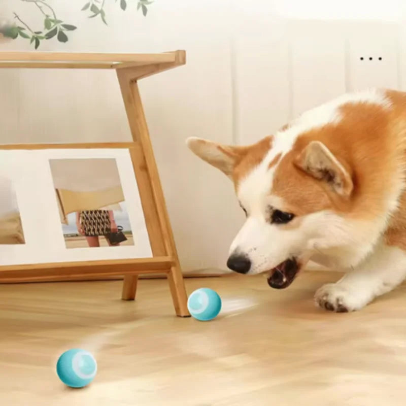 Automatic Electric Cat Ball Toy Interactive Rolling Smart Self-Moving Kitten Plaything for Indoor Cats Training And Fun