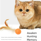 Funny Cat Elastic Ball Toy Interactive Balls Pet Supplies Feather Football Toys Dog Playthings Kitten