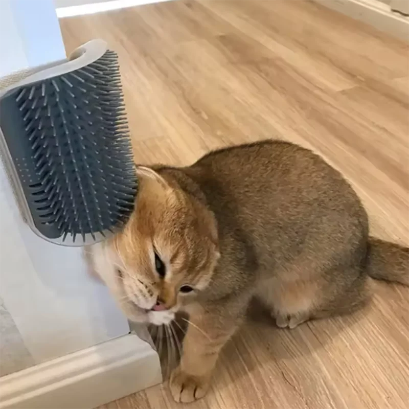 Cat Scratcher Massager for Cats Scratching Pets Brush Remove Hair Comb Grooming Table Dogs Kitten Care Royal Canin Accessories