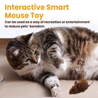 Pet Interactive Plush Mouse Toy - Realistic Squeaky Toy for Cats & Dogs, Lightweight Handheld Play Toy, Bite-Resistant Soft