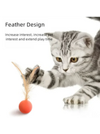 Funny Cat Elastic Ball Toy Interactive Balls Pet Supplies Feather Football Toys Dog Playthings Kitten