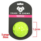 Caitec Dog Toys Squeaking Bouncing Ball Durable Floatable Springy Pet Toys Squeaky Ball Bite Resistant