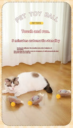 Automatic Rolling Ball Interactive Ball Cat Toys Pet Supplies Electric Dog and Cat Training To Imitate Rat Rechargeable Products